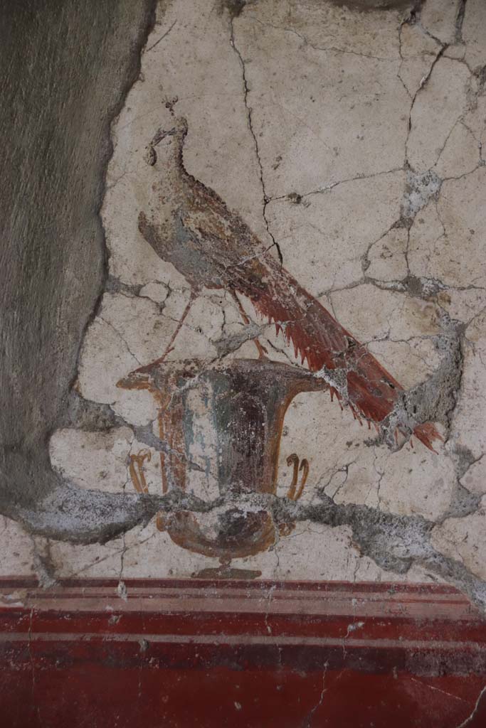 Oplontis Villa of Poppea, September 2021.  
Room 81, detail of peacock from panel on south wall. Photo courtesy of Klaus Heese.