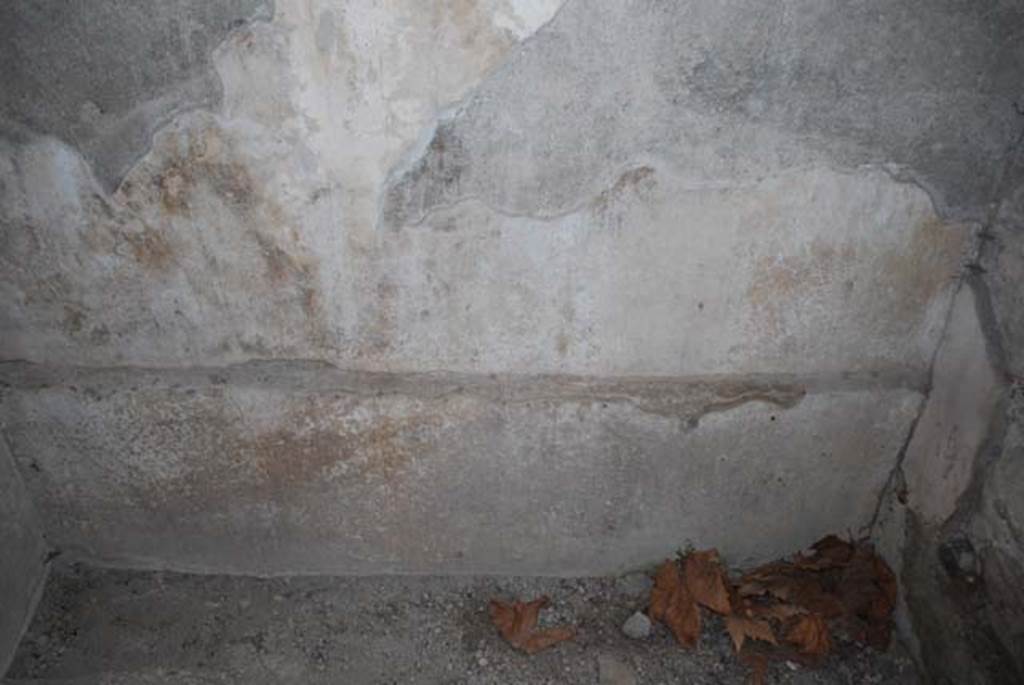 Oplontis Villa of Poppea, 2009. Room 84, north wall, lower half. 
Photo courtesy of Drew Baker - from the King's College London, Villa of Oplontis Archive.