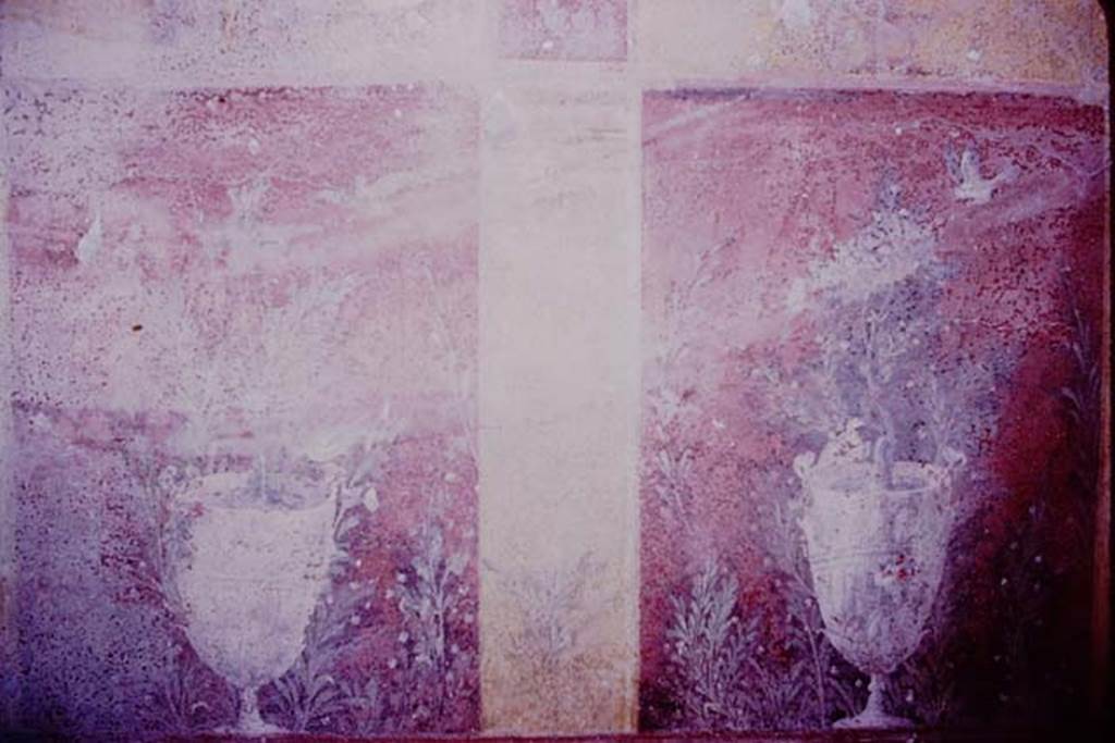 Oplontis, 1977. Room 87, west wall. Photo by Stanley A. Jashemski.   
Source: The Wilhelmina and Stanley A. Jashemski archive in the University of Maryland Library, Special Collections (See collection page) and made available under the Creative Commons Attribution-Non Commercial License v.4. See Licence and use details. J77f0380
