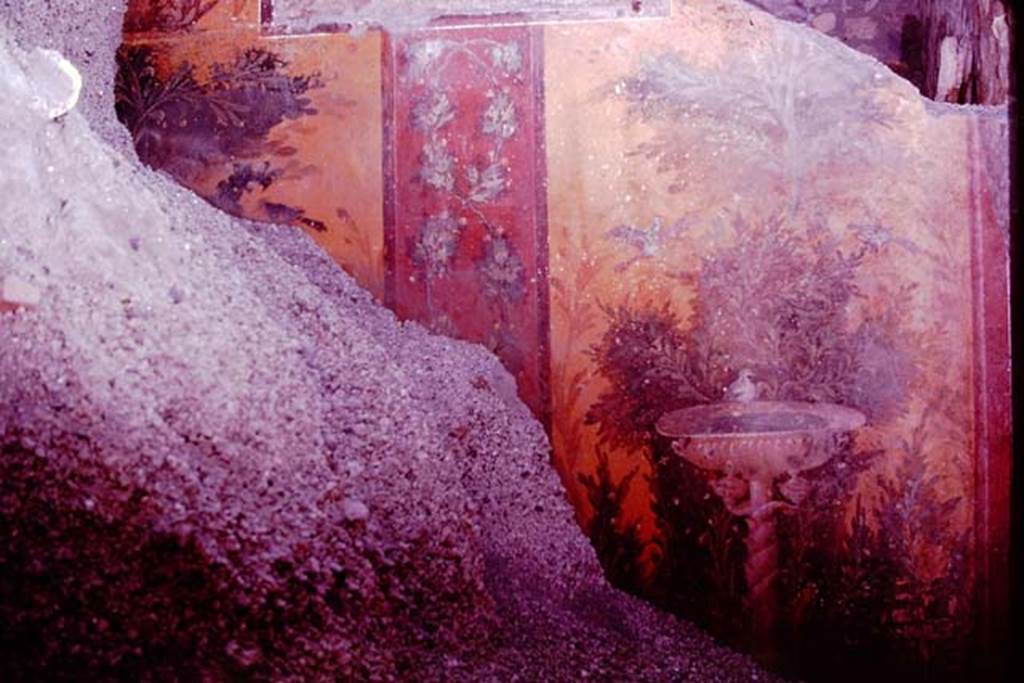 Oplontis, 1977. Room 87, east wall at time of excavation. Photo by Stanley A. Jashemski.   
Source: The Wilhelmina and Stanley A. Jashemski archive in the University of Maryland Library, Special Collections (See collection page) and made available under the Creative Commons Attribution-Non Commercial License v.4. See Licence and use details. J77f0404