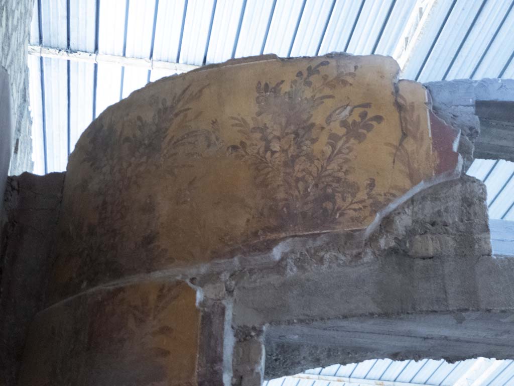 Oplontis Villa of Poppea, September 2017. Room 87, detail from west side of top of semi-circular window on north wall. 
Foto Annette Haug, ERC Grant 681269 DÉCOR.