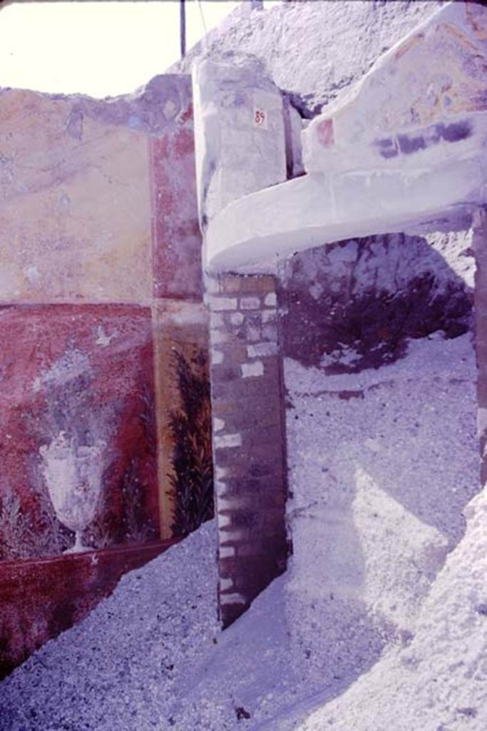 Oplontis, 1977. Room 87, on left, room 89 on right. Looking towards the north-west corner. Photo by Stanley A. Jashemski.   
Source: The Wilhelmina and Stanley A. Jashemski archive in the University of Maryland Library, Special Collections (See collection page) and made available under the Creative Commons Attribution-Non Commercial License v.4. See Licence and use details. J77f0379