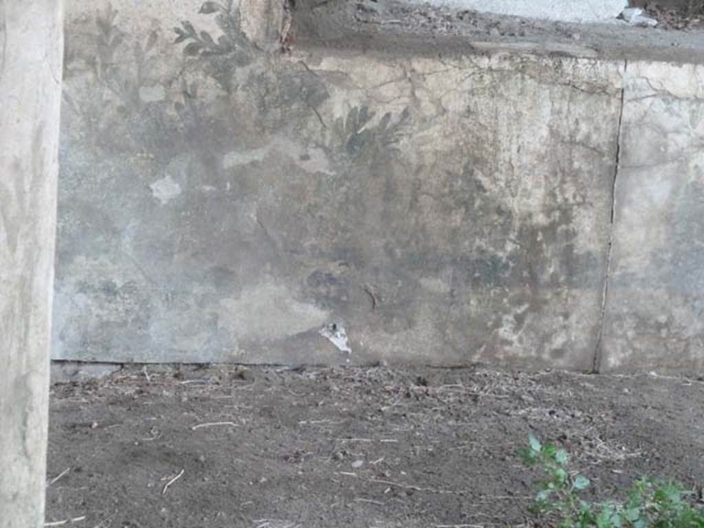 Oplontis, September 2015. Room 97, painted dado on north wall under window.