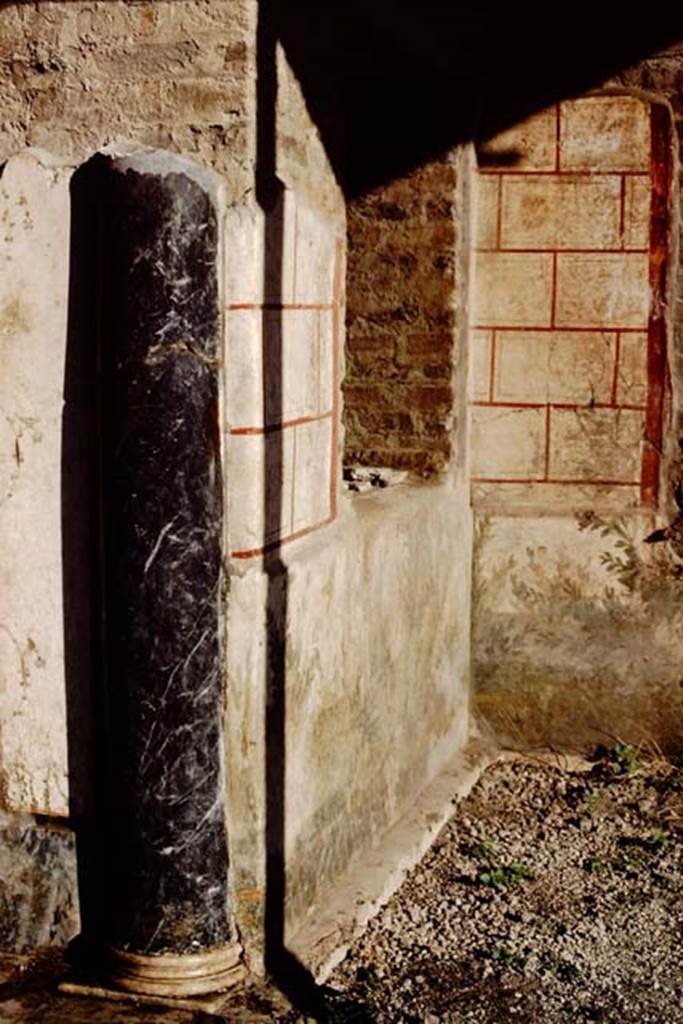 Oplontis, 1983 or 1984. Looking north to area below the window of room 94, facing east.
Source: The Wilhelmina and Stanley A. Jashemski archive in the University of Maryland Library, Special Collections (See collection page) and made available under the Creative Commons Attribution-Non Commercial License v.4. See Licence and use details. Oplo0071