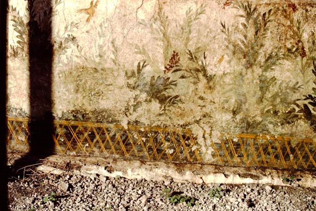 Oplontis, 1983 or 1984. Painting with flowering shrubs and birds seen behind a lattice fence
Source: The Wilhelmina and Stanley A. Jashemski archive in the University of Maryland Library, Special Collections (See collection page) and made available under the Creative Commons Attribution-Non Commercial License v.4. See Licence and use details. Oplo0072
