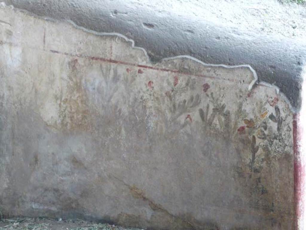 Oplontis, May 2010. Detail of painting of a poorly preserved thicket continuing along the low projection perpendicular to the wall. Photo courtesy of Buzz Ferebee.