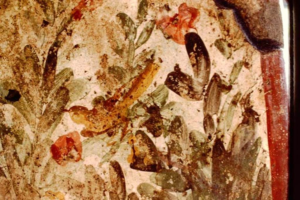 Oplontis, 1984. Detail of painting on small wall.
Source: The Wilhelmina and Stanley A. Jashemski archive in the University of Maryland Library, Special Collections (See collection page) and made available under the Creative Commons Attribution-Non Commercial License v.4. See Licence and use details. J84f0091