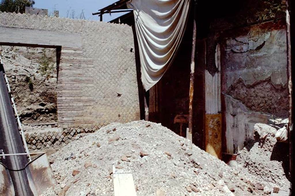 Oplontis, 1968.  Room 20, enclosed garden, looking north-east. Photo by Stanley A. Jashemski.
Source: The Wilhelmina and Stanley A. Jashemski archive in the University of Maryland Library, Special Collections (See collection page) and made available under the Creative Commons Attribution-Non Commercial License v.4. See Licence and use details. J68f1507