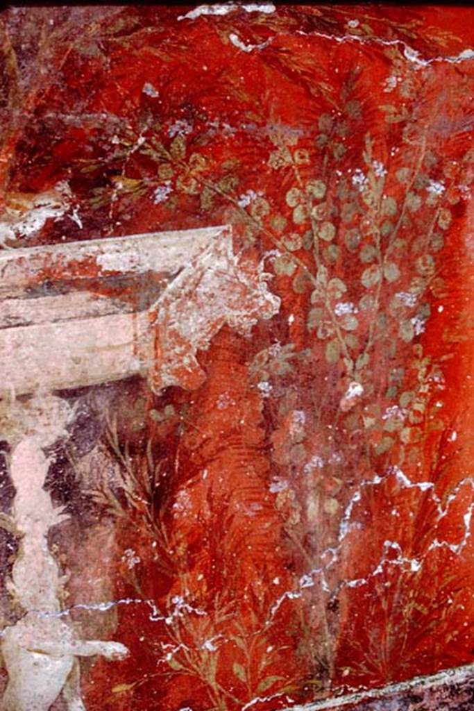Oplontis, 1968. Room 20, north-east corner, painted plant, bird, fountain and sphinx.
Photo by Stanley A. Jashemski.
Source: The Wilhelmina and Stanley A. Jashemski archive in the University of Maryland Library, Special Collections (See collection page) and made available under the Creative Commons Attribution-Non Commercial License v.4. See Licence and use details. J68f1456