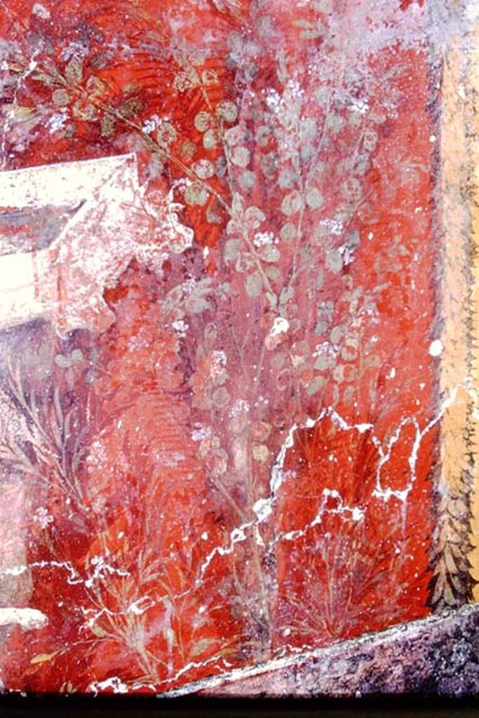 Oplontis, 1968. Room 20, detail from panel in north-east corner. Photo by Stanley A. Jashemski.
Source: The Wilhelmina and Stanley A. Jashemski archive in the University of Maryland Library, Special Collections (See collection page) and made available under the Creative Commons Attribution-Non Commercial License v.4. See Licence and use details. J68f1458