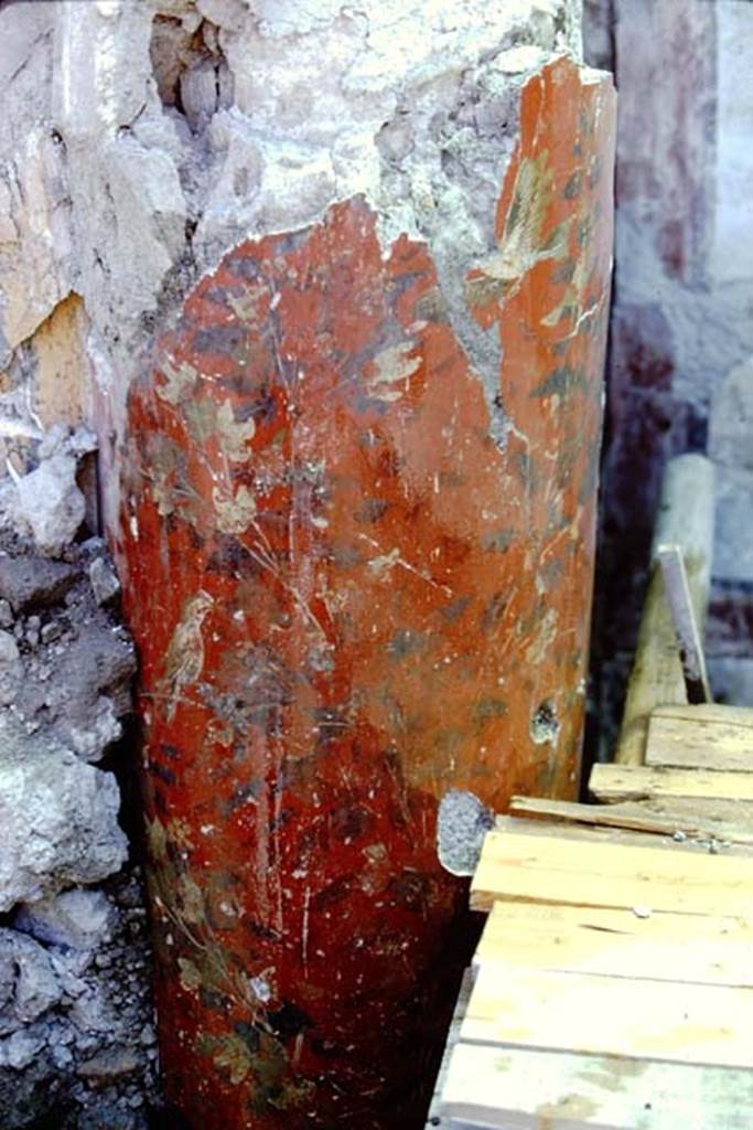Oplontis, 1968. Room 20, possibly  the column from south-east side of the enclosed garden. Photo by Stanley A. Jashemski.
Source: The Wilhelmina and Stanley A. Jashemski archive in the University of Maryland Library, Special Collections (See collection page) and made available under the Creative Commons Attribution-Non Commercial License v.4. See Licence and use details. J68f1444