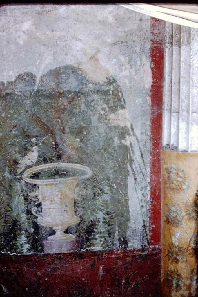 Oplontis, 1968.  Room 20, “Cleaned” centre panel from west wall of bird and crater fountain. Photo by Stanley A. Jashemski.
Source: The Wilhelmina and Stanley A. Jashemski archive in the University of Maryland Library, Special Collections (See collection page) and made available under the Creative Commons Attribution-Non Commercial License v.4. See Licence and use details. J68f1438