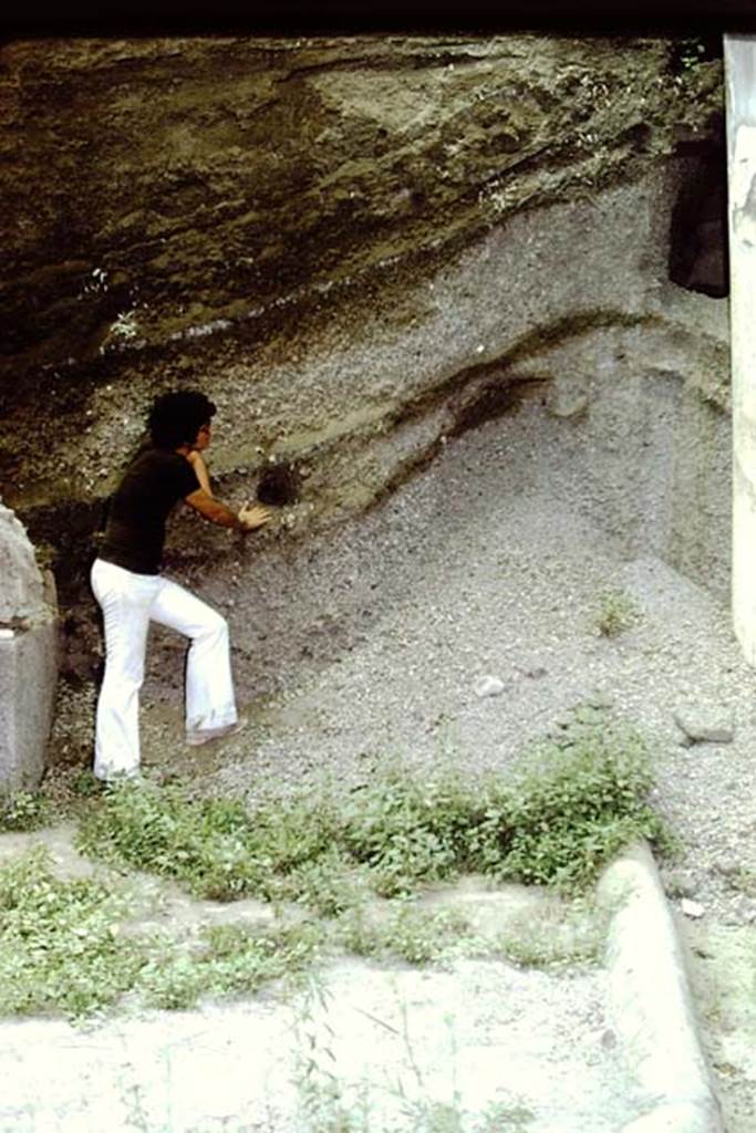 Oplontis, 1973. Layers of lapilli. Photo by Stanley A. Jashemski. 
Source: The Wilhelmina and Stanley A. Jashemski archive in the University of Maryland Library, Special Collections (See collection page) and made available under the Creative Commons Attribution-Non Commercial License v.4. See Licence and use details. J73f0362