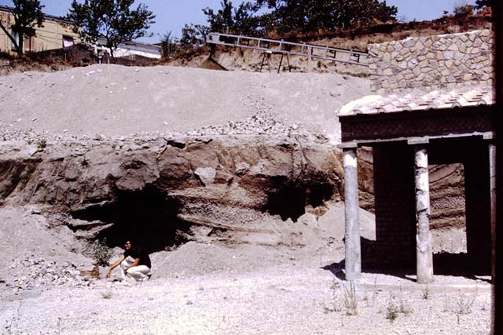 Oplontis, 1973. Unexcavated on east side. Photo by Stanley A. Jashemski. 
Source: The Wilhelmina and Stanley A. Jashemski archive in the University of Maryland Library, Special Collections (See collection page) and made available under the Creative Commons Attribution-Non Commercial License v.4. See Licence and use details. J73f0378