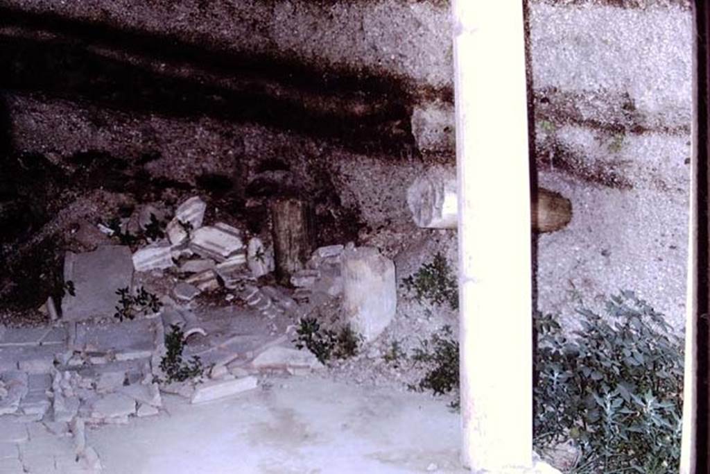 Oplontis, 1973. Discoveries from the lapilli. Photo by Stanley A. Jashemski.
Source: The Wilhelmina and Stanley A. Jashemski archive in the University of Maryland Library, Special Collections (See collection page) and made available under the Creative Commons Attribution-Non Commercial License v.4. See Licence and use details.
J73f0380