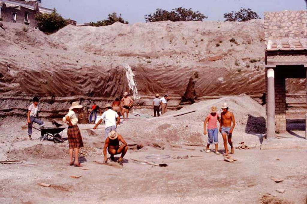 Oplontis, 1974.  East end, some root cavities already protected by stones. Photo by Stanley A. Jashemski.   
Source: The Wilhelmina and Stanley A. Jashemski archive in the University of Maryland Library, Special Collections (See collection page) and made available under the Creative Commons Attribution-Non Commercial License v.4. See Licence and use details. J74f0657