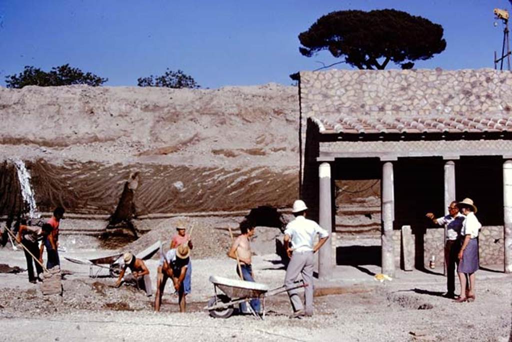 Oplontis, 1974. Looking east across site, from north-east corner of portico 34 towards the site of the cavity of the tree-trunk. Photo by Stanley A. Jashemski.   
Source: The Wilhelmina and Stanley A. Jashemski archive in the University of Maryland Library, Special Collections (See collection page) and made available under the Creative Commons Attribution-Non Commercial License v.4. See Licence and use details. J74f0180