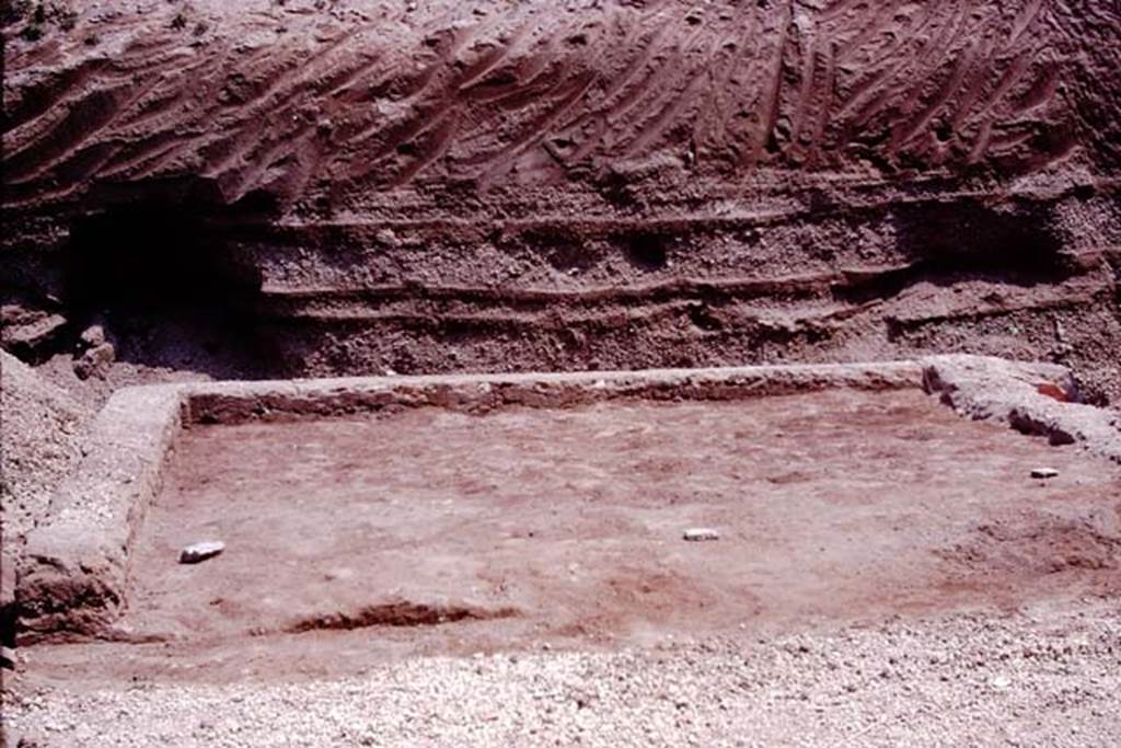 Oplontis, 1974. Room 58, looking east.  According to Wilhelmina, “at the same time as excavating the tree-trunk and root, they were also examining a small area directly to the east of the portico (room 58), where a small garden had been created by filling the foundations of a room with soil. There were 8 root cavities planted in three rows in this garden.”  Photo by Stanley A. Jashemski.   
Source: The Wilhelmina and Stanley A. Jashemski archive in the University of Maryland Library, Special Collections (See collection page) and made available under the Creative Commons Attribution-Non Commercial License v.4. See Licence and use details. J74f0635