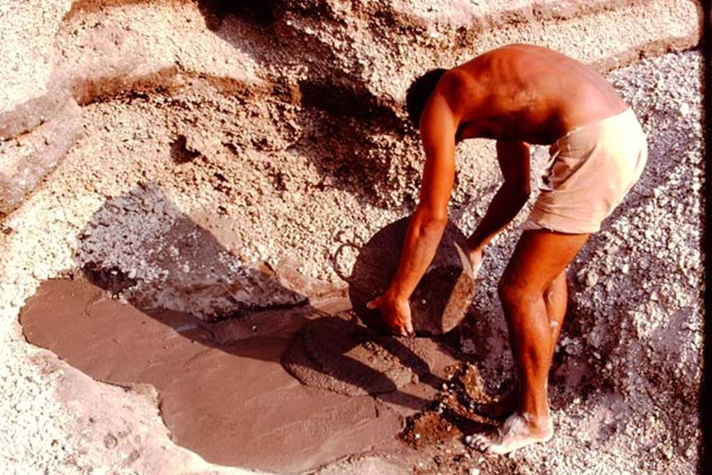Pompeii. 1974. Filling the root cavity with cement. Photo by Stanley A. Jashemski.   
Source: The Wilhelmina and Stanley A. Jashemski archive in the University of Maryland Library, Special Collections (See collection page) and made available under the Creative Commons Attribution-Non Commercial License v.4. See Licence and use details. J74f0672