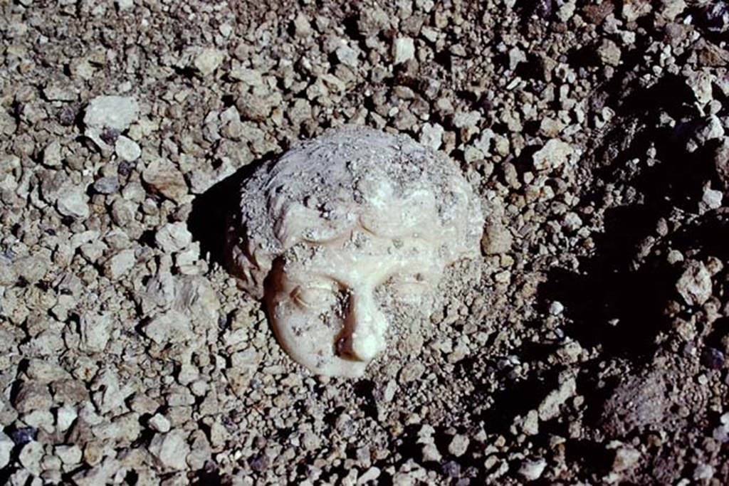 Oplontis, 1975. Marble head emerging from lapilli. Photo by Stanley A. Jashemski.   
Source: The Wilhelmina and Stanley A. Jashemski archive in the University of Maryland Library, Special Collections (See collection page) and made available under the Creative Commons Attribution-Non Commercial License v.4. See Licence and use details. J74f0900
According to Wilhelmina  “There was great excitement when early in the morning a beautiful head of a woman sculptured from Greek marble came into view, then a marble shaft.”
