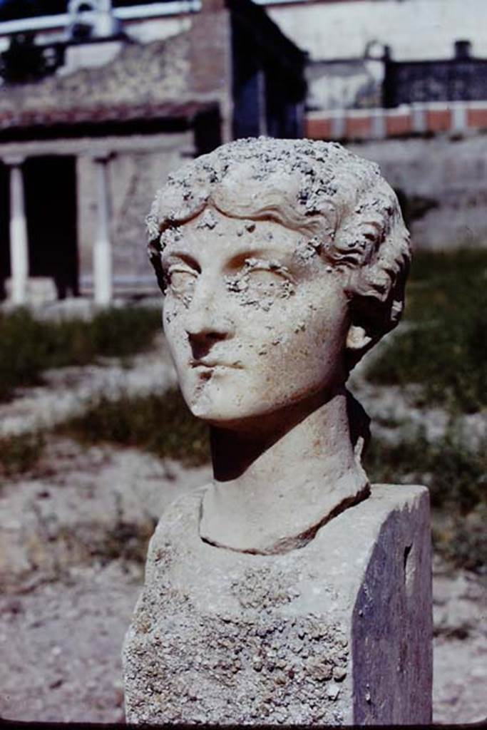 Oplontis, 1975. The shaft was set up, and the head fitted perfectly. Photo by Stanley A. Jashemski.   
Source: The Wilhelmina and Stanley A. Jashemski archive in the University of Maryland Library, Special Collections (See collection page) and made available under the Creative Commons Attribution-Non Commercial License v.4. See Licence and use details. J74f0908