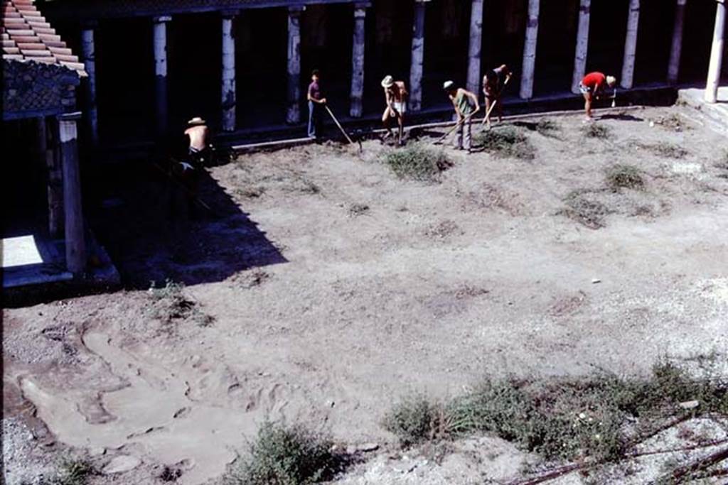 Oplontis, 1975. Looking south to excavation near room 34, the east portico of the north garden. On the left the large “strange root” from the previous year’s dig, can now be seen completely filled with cement.  Photo by Stanley A. Jashemski.   
Source: The Wilhelmina and Stanley A. Jashemski archive in the University of Maryland Library, Special Collections (See collection page) and made available under the Creative Commons Attribution-Non Commercial License v.4. See Licence and use details. J75f0028