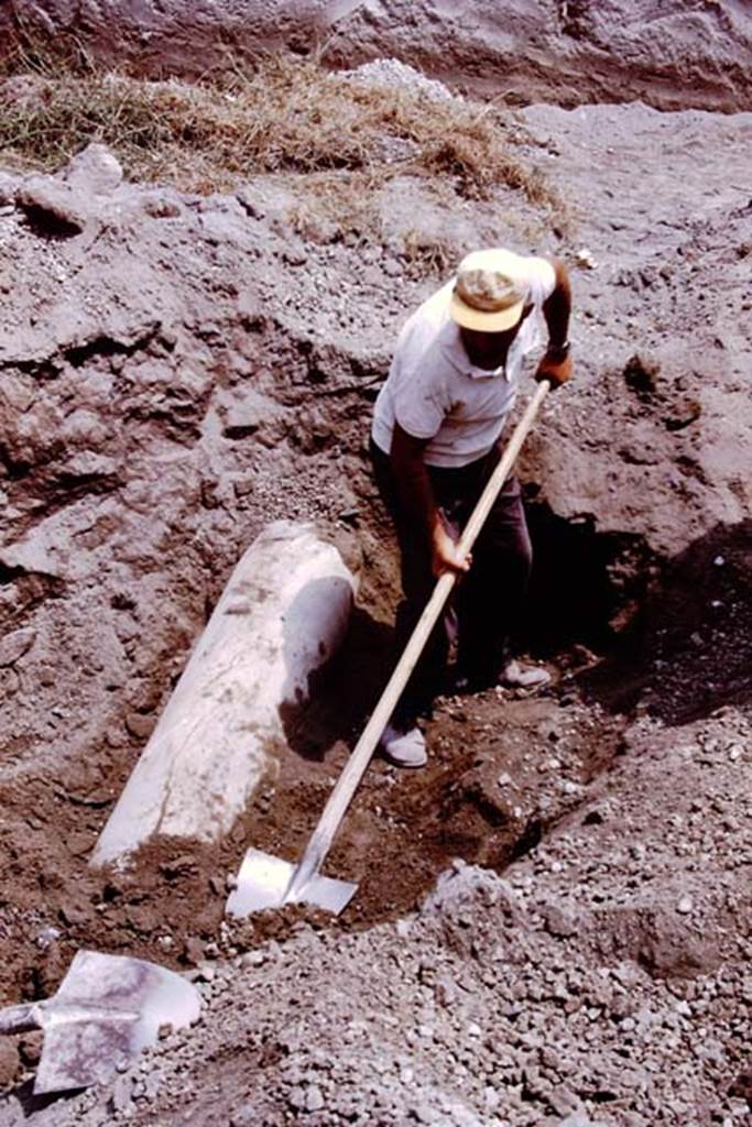 Oplontis, 1975. Digging out of the column. Photo by Stanley A. Jashemski.   
Source: The Wilhelmina and Stanley A. Jashemski archive in the University of Maryland Library, Special Collections (See collection page) and made available under the Creative Commons Attribution-Non Commercial License v.4. See Licence and use details. J75f0076