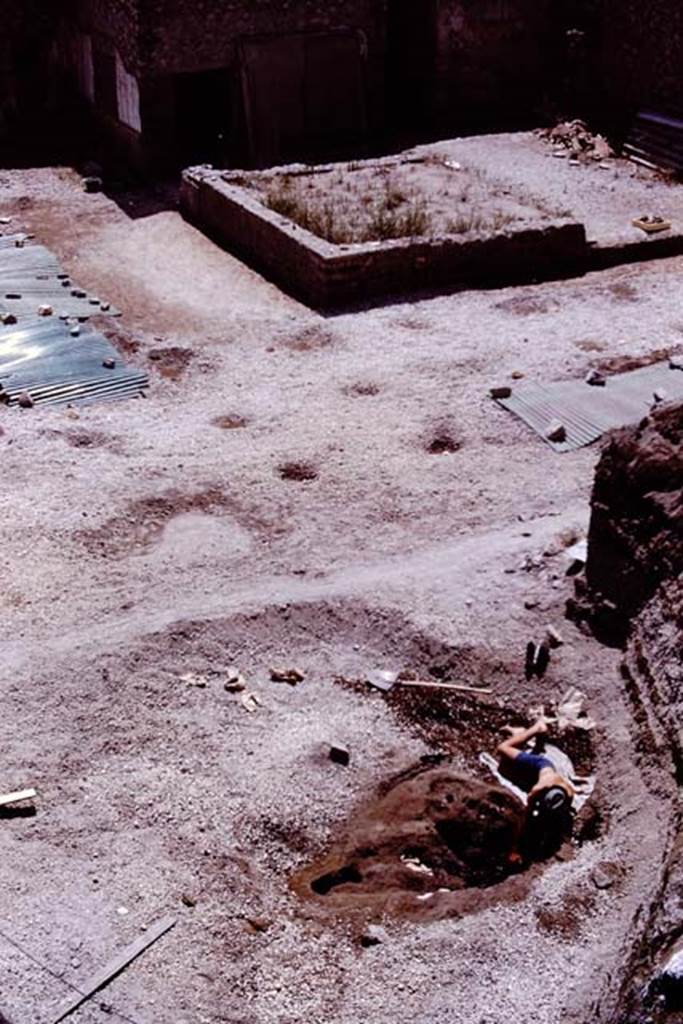 Oplontis, 1975. Looking south above root cavity, towards area of room 58 and other cavities covered with corrugated sheeting. Photo by Stanley A. Jashemski.   
Source: The Wilhelmina and Stanley A. Jashemski archive in the University of Maryland Library, Special Collections (See collection page) and made available under the Creative Commons Attribution-Non Commercial License v.4. See Licence and use details. J75f0099