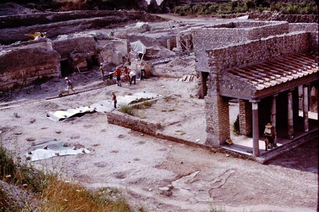Oplontis, 1975. Looking south-east across north garden towards area of room 58.
Wilhelmina can be seen sitting in the shade of the east portico, room 34, on the right. Photo by Stanley A. Jashemski.   
Source: The Wilhelmina and Stanley A. Jashemski archive in the University of Maryland Library, Special Collections (See collection page) and made available under the Creative Commons Attribution-Non Commercial License v.4. See Licence and use details. J75f0108
