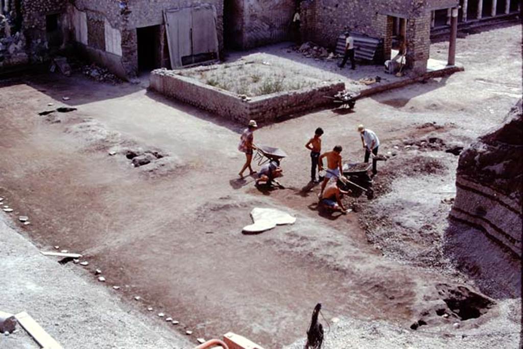 Oplontis, 1975. Looking south-west at east end of north garden, across line of four tree-root-cavities. Photo by Stanley A. Jashemski.   
Source: The Wilhelmina and Stanley A. Jashemski archive in the University of Maryland Library, Special Collections (See collection page) and made available under the Creative Commons Attribution-Non Commercial License v.4. See Licence and use details. J75f0164