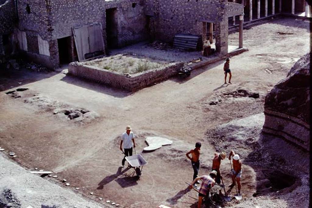 Oplontis, 1975. Excavating at original ground level in the north-east corner of the north garden. 4 tree-root cavities in a line, and two possible clumps of small trees or bushes, on the right.  Photo by Stanley A. Jashemski.   
Source: The Wilhelmina and Stanley A. Jashemski archive in the University of Maryland Library, Special Collections (See collection page) and made available under the Creative Commons Attribution-Non Commercial License v.4. See Licence and use details. J75f0180