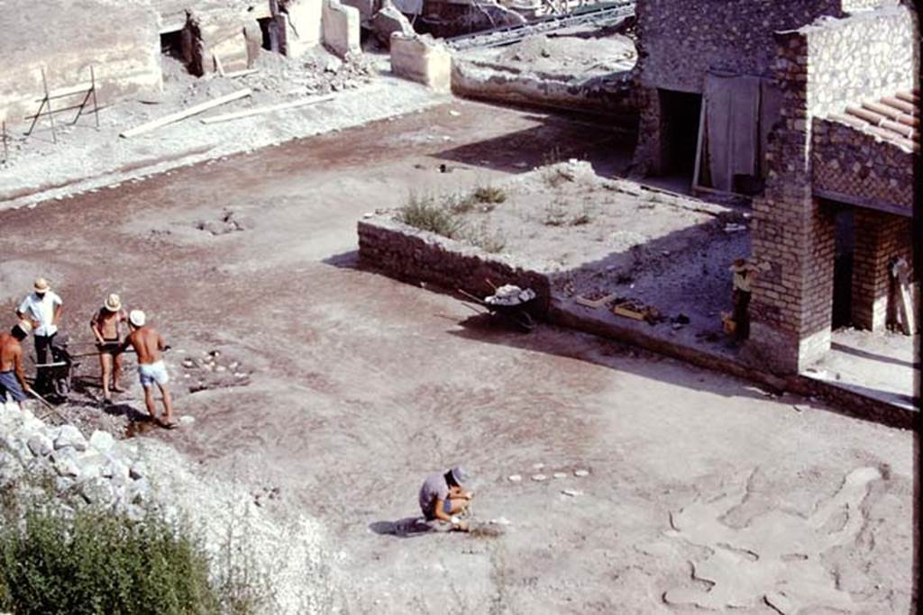Oplontis, 1975. Looking south-east across cleaned east end of north garden. Photo by Stanley A. Jashemski.   
Source: The Wilhelmina and Stanley A. Jashemski archive in the University of Maryland Library, Special Collections (See collection page) and made available under the Creative Commons Attribution-Non Commercial License v.4. See Licence and use details. J75f0176