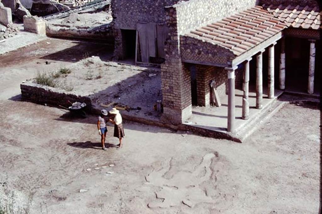 Oplontis, 1975. Looking towards area of room 58, and east portico 34, across the large strange root cavity filled in the previous year. Photo by Stanley A. Jashemski.   
Source: The Wilhelmina and Stanley A. Jashemski archive in the University of Maryland Library, Special Collections (See collection page) and made available under the Creative Commons Attribution-Non Commercial License v.4. See Licence and use details. J75f0177