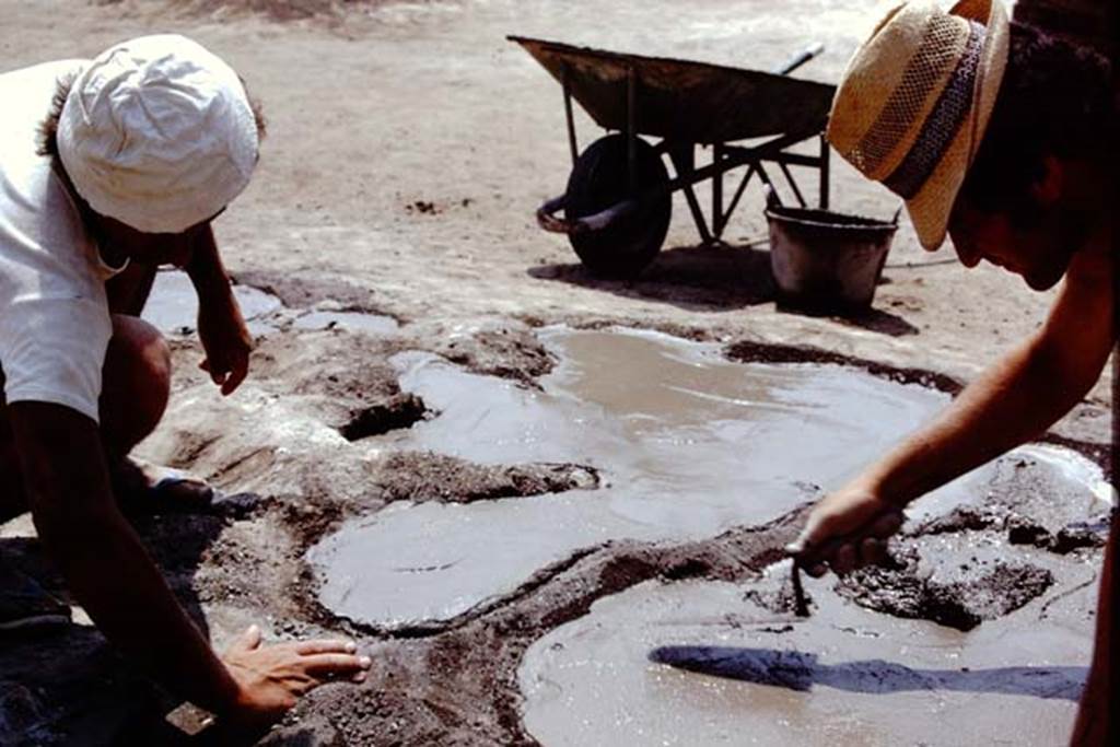 Oplontis, 1975. Smoothing the cement of the tree-root cavity. Photo by Stanley A. Jashemski.   
Source: The Wilhelmina and Stanley A. Jashemski archive in the University of Maryland Library, Special Collections (See collection page) and made available under the Creative Commons Attribution-Non Commercial License v.4. See Licence and use details. J75f0324
