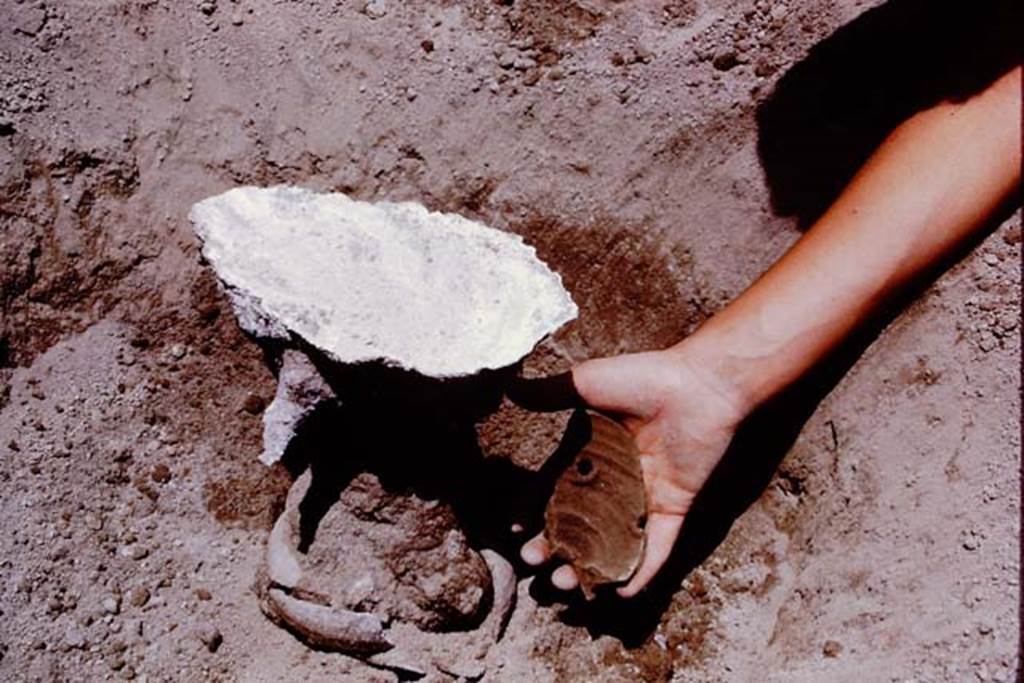 Oplontis, 1975. Piece of buried terracotta pot, showing two of the original drainage holes. Photo by Stanley A. Jashemski.   
Source: The Wilhelmina and Stanley A. Jashemski archive in the University of Maryland Library, Special Collections (See collection page) and made available under the Creative Commons Attribution-Non Commercial License v.4. See Licence and use details. J75f0494