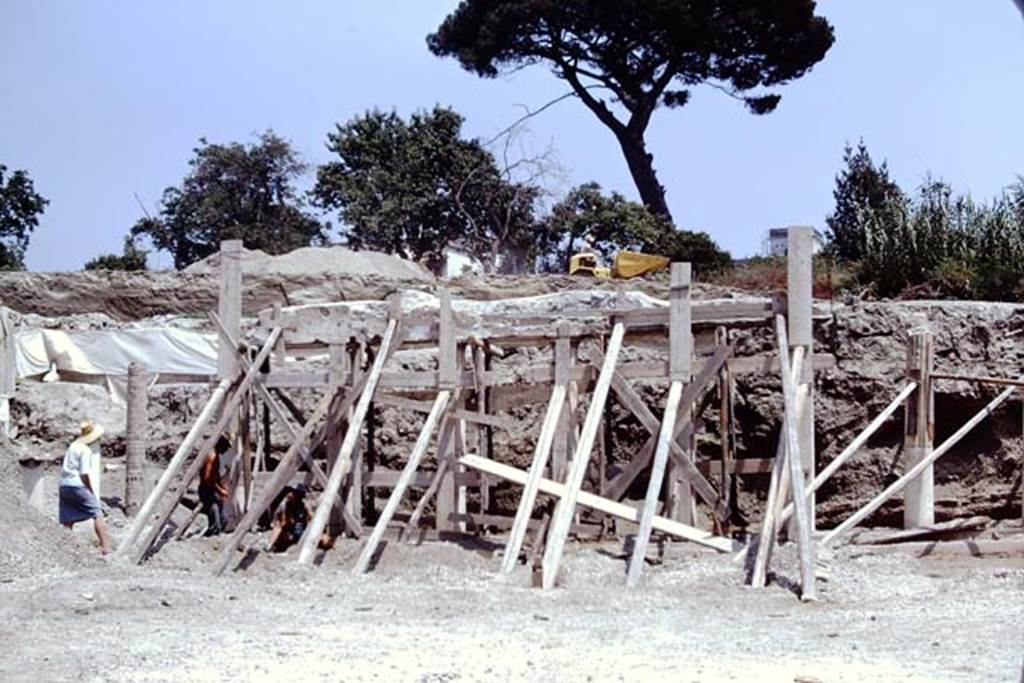 Oplontis, 1975. East side of area 59, the south-east peristyle.  Photo by Stanley A. Jashemski.   
Source: The Wilhelmina and Stanley A. Jashemski archive in the University of Maryland Library, Special Collections (See collection page) and made available under the Creative Commons Attribution-Non Commercial License v.4. See Licence and use details. J75f0336