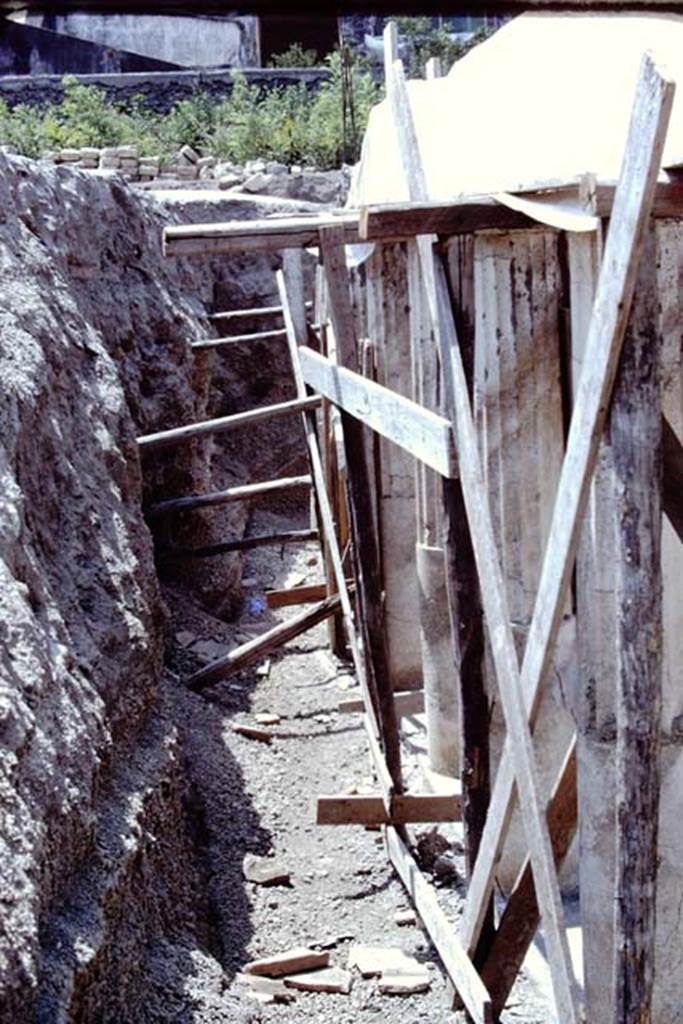 Oplontis, 1975. Looking south behind the columns on the east side of area 59. 
Photo by Stanley A. Jashemski.
Source: The Wilhelmina and Stanley A. Jashemski archive in the University of Maryland Library, Special Collections (See collection page) and made available under the Creative Commons Attribution-Non Commercial License v.4. See Licence and use details.
J75f0481