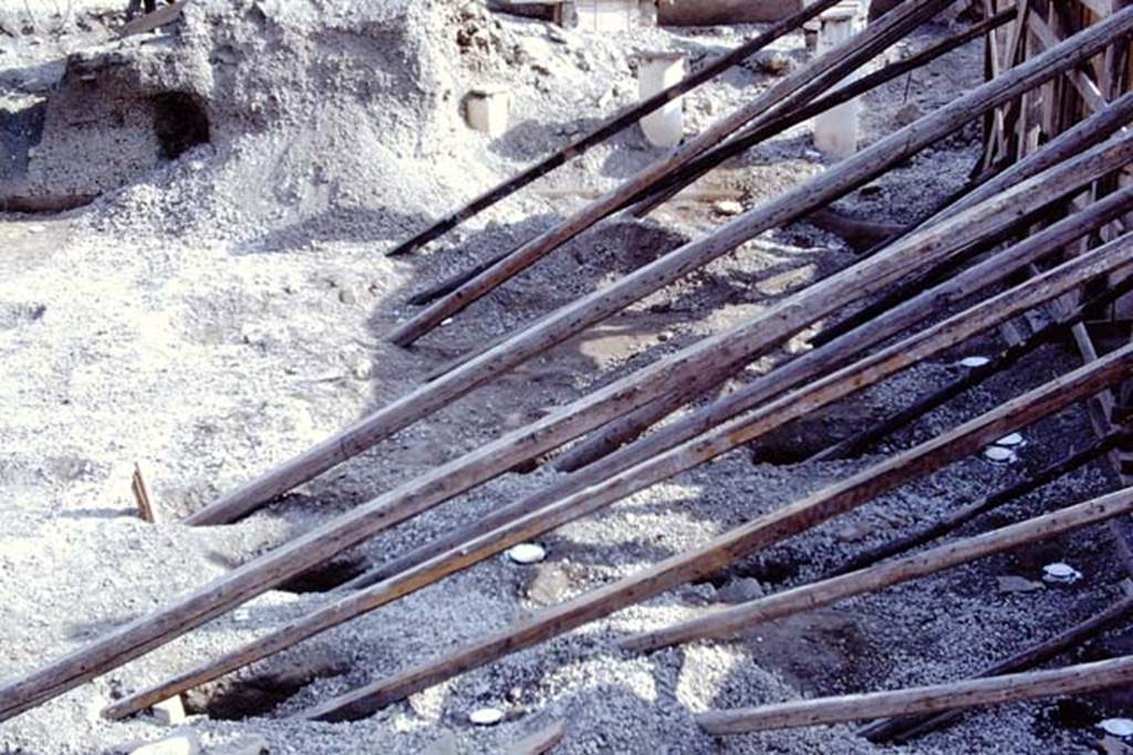 Oplontis, 1975. Area 59, looking north along east side of south-east peristyle, with filled and painted root cavities. Photo by Stanley A. Jashemski.    
Source: The Wilhelmina and Stanley A. Jashemski archive in the University of Maryland Library, Special Collections (See collection page) and made available under the Creative Commons Attribution-Non Commercial License v.4. See Licence and use details. J75f0444