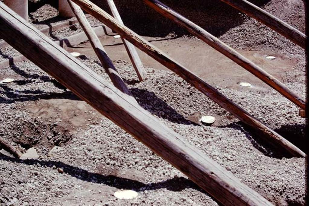 Oplontis, 1975. Root cavities on east side of area 59, the south-east peristyle. Photo by Stanley A. Jashemski.   
Source: The Wilhelmina and Stanley A. Jashemski archive in the University of Maryland Library, Special Collections (See collection page) and made available under the Creative Commons Attribution-Non Commercial License v.4. See Licence and use details. J75f0511