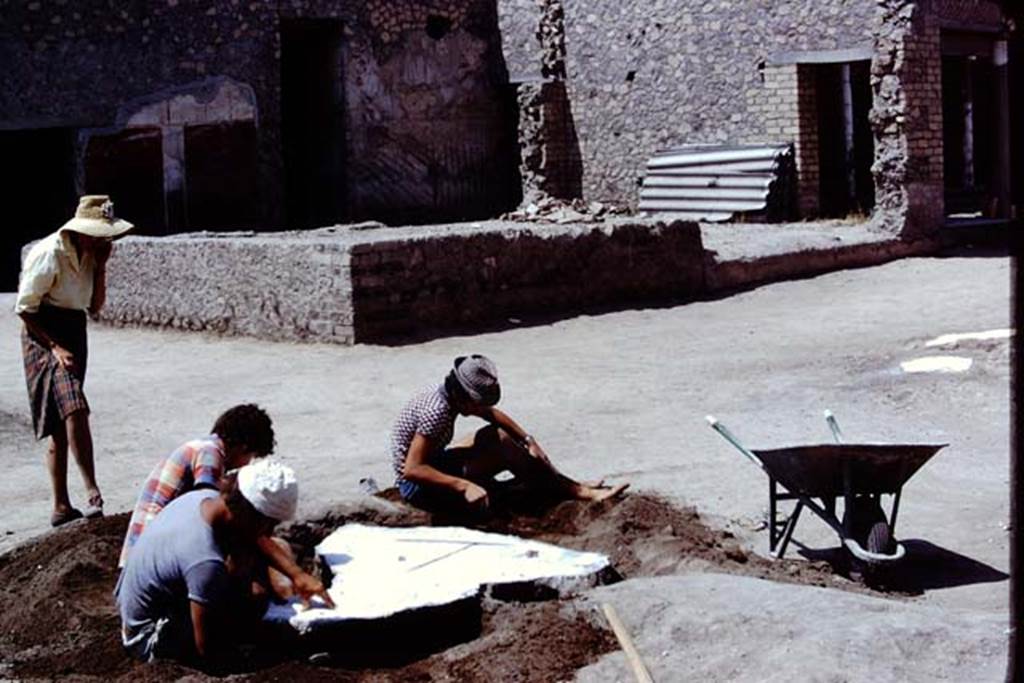 Oplontis, 1975. Digging the soil out from around the filled root cavities. Photo by Stanley A. Jashemski.   
Source: The Wilhelmina and Stanley A. Jashemski archive in the University of Maryland Library, Special Collections (See collection page) and made available under the Creative Commons Attribution-Non Commercial License v.4. See Licence and use details. J75f0412