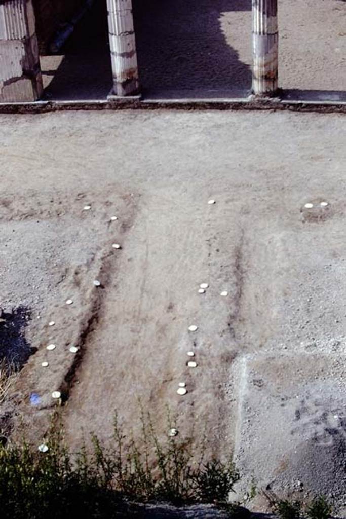 Oplontis, 1975. Central pathway in north garden with root cavities, leading to centre of room 21. Photo by Stanley A. Jashemski.   
Source: The Wilhelmina and Stanley A. Jashemski archive in the University of Maryland Library, Special Collections (See collection page) and made available under the Creative Commons Attribution-Non Commercial License v.4. See Licence and use details. J75f0447