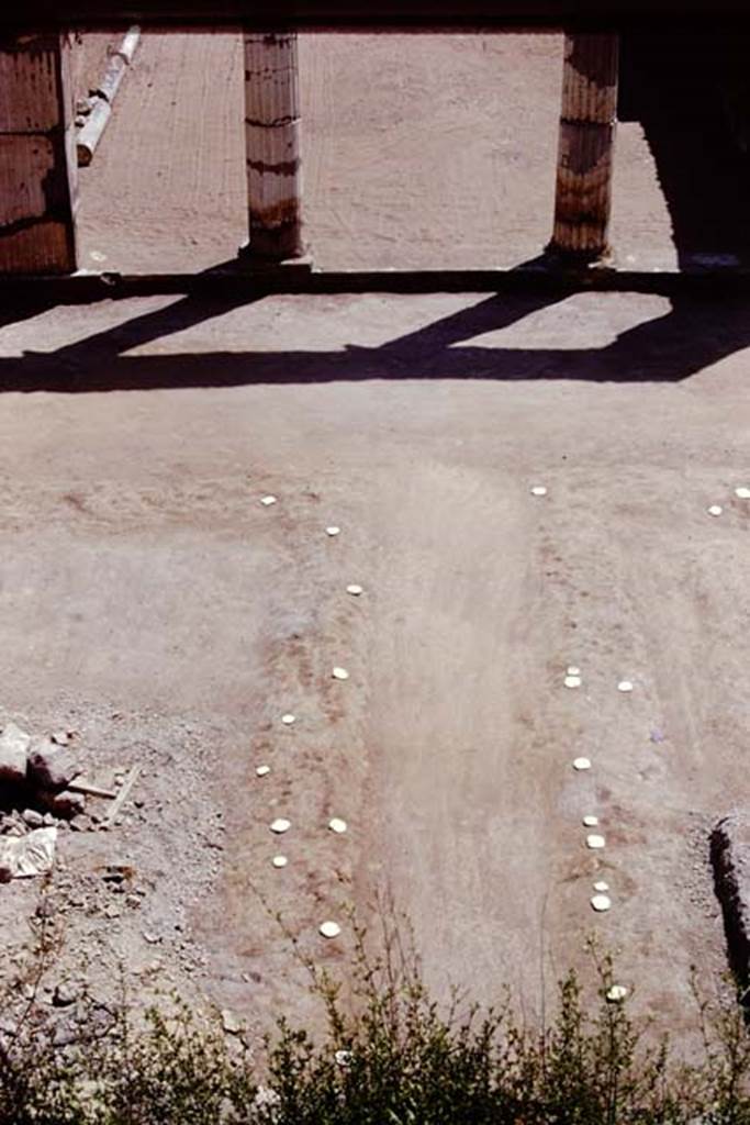 Oplontis, 1975. Looking south towards room 21, along the north-south path with its root-cavities. Photo by Stanley A. Jashemski.   
Source: The Wilhelmina and Stanley A. Jashemski archive in the University of Maryland Library, Special Collections (See collection page) and made available under the Creative Commons Attribution-Non Commercial License v.4. See Licence and use details. J75f0521