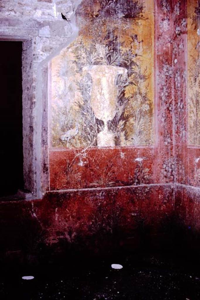 Oplontis.1976. Room 68, painted wall in south-west corner of small courtyard garden, showing two of the four root cavities. Photo by Stanley A. Jashemski.   
Source: The Wilhelmina and Stanley A. Jashemski archive in the University of Maryland Library, Special Collections (See collection page) and made available under the Creative Commons Attribution-Non Commercial License v.4. See Licence and use details. J76f0414