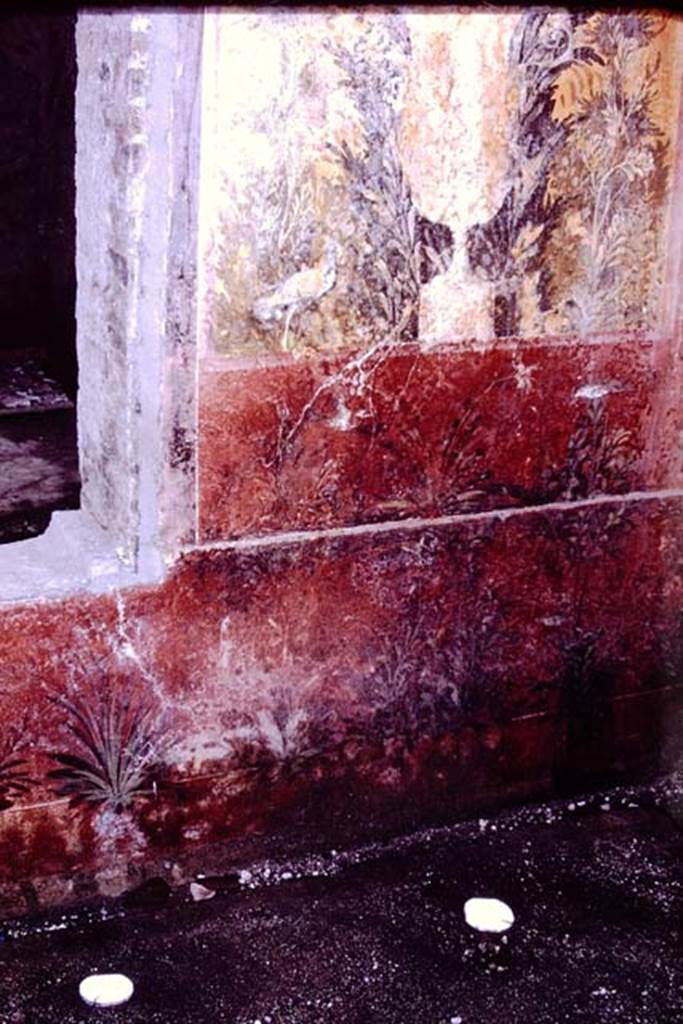 Oplontis. 1976. Room 68, filled root cavities in south-west corner.  Photo by Stanley A. Jashemski.   
Source: The Wilhelmina and Stanley A. Jashemski archive in the University of Maryland Library, Special Collections (See collection page) and made available under the Creative Commons Attribution-Non Commercial License v.4. See Licence and use details. J76f0415