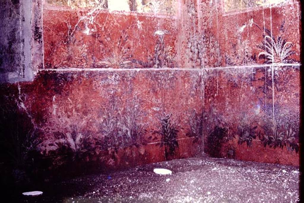 Oplontis. 1976. Room 68, detail of painted wall. Photo by Stanley A. Jashemski.   
Source: The Wilhelmina and Stanley A. Jashemski archive in the University of Maryland Library, Special Collections (See collection page) and made available under the Creative Commons Attribution-Non Commercial License v.4. See Licence and use details. J76f0417
