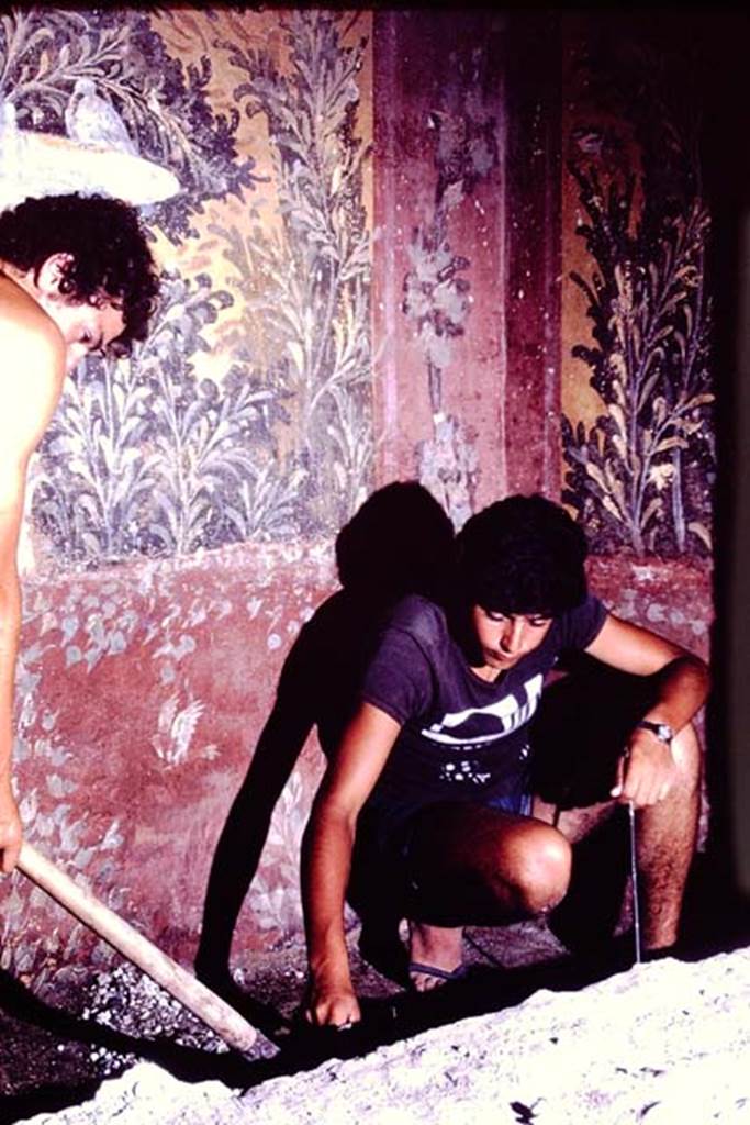 Oplontis, 1976. Room 61, the raised garden, searching for root-cavities. Photo by Stanley A. Jashemski.   
Source: The Wilhelmina and Stanley A. Jashemski archive in the University of Maryland Library, Special Collections (See collection page) and made available under the Creative Commons Attribution-Non Commercial License v.4. See Licence and use details. J76f0411