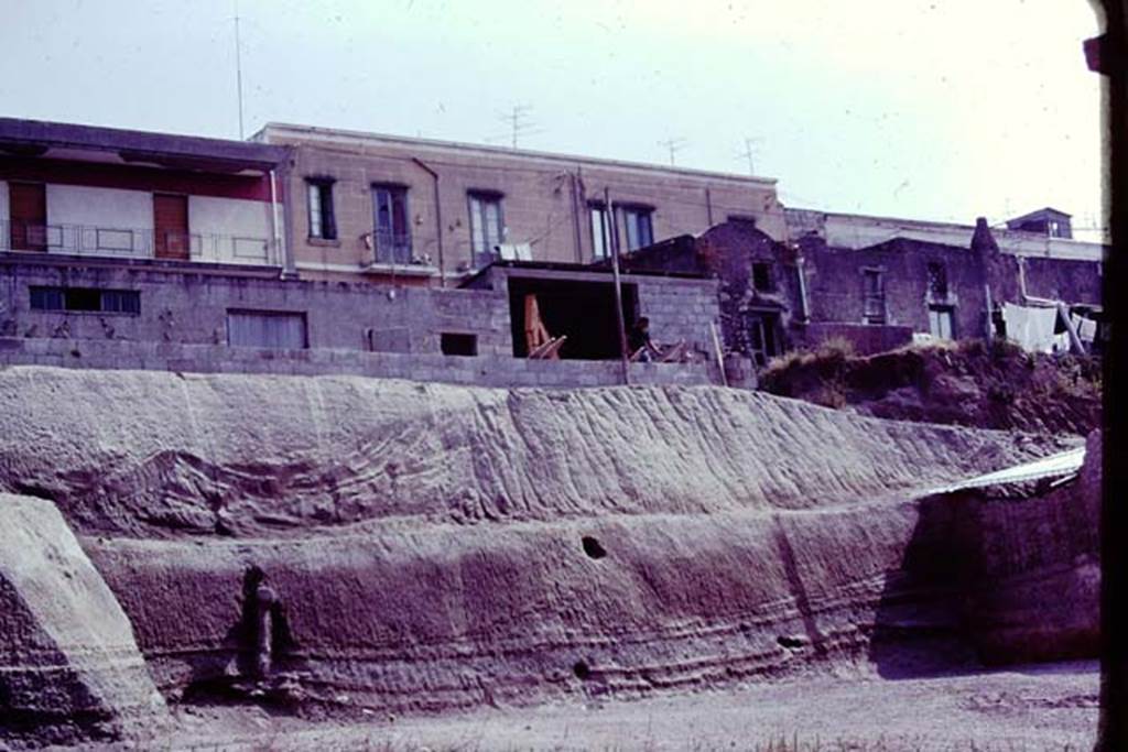 Oplontis, 1977. Area 56, looking to the north end of the east side of the north garden. Photo by Stanley A. Jashemski.   
Source: The Wilhelmina and Stanley A. Jashemski archive in the University of Maryland Library, Special Collections (See collection page) and made available under the Creative Commons Attribution-Non Commercial License v.4. See Licence and use details. J77f0106