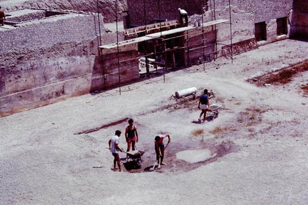 Oplontis, 1977. Area 56, looking south-east at east side of north garden. The doorway with the scaffolding would lead into room 69. The two doorways, on the right, lead into room 64. Photo by Stanley A. Jashemski.   
Source: The Wilhelmina and Stanley A. Jashemski archive in the University of Maryland Library, Special Collections (See collection page) and made available under the Creative Commons Attribution-Non Commercial License v.4. See Licence and use details. J77f0108