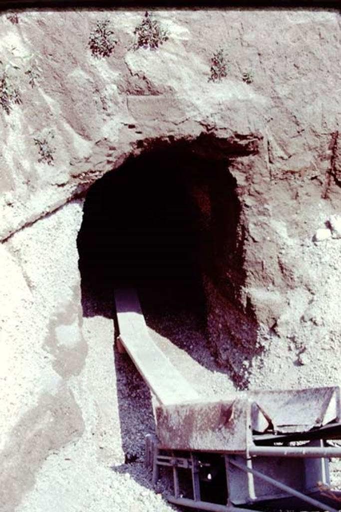 Oplontis, 1977. Digging out the debris. Photo by Stanley A. Jashemski.   
Source: The Wilhelmina and Stanley A. Jashemski archive in the University of Maryland Library, Special Collections (See collection page) and made available under the Creative Commons Attribution-Non Commercial License v.4. See Licence and use details. J77f0113