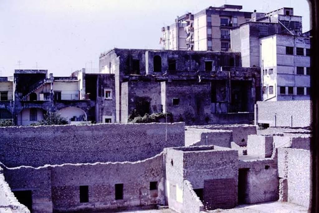 Oplontis, 1977. Area 56, looking towards south side of the east end of the north garden, on the right is the doorway to room 55, and corridor 52. Photo by Stanley A. Jashemski.   
Source: The Wilhelmina and Stanley A. Jashemski archive in the University of Maryland Library, Special Collections (See collection page) and made available under the Creative Commons Attribution-Non Commercial License v.4. See Licence and use details. J77f0178